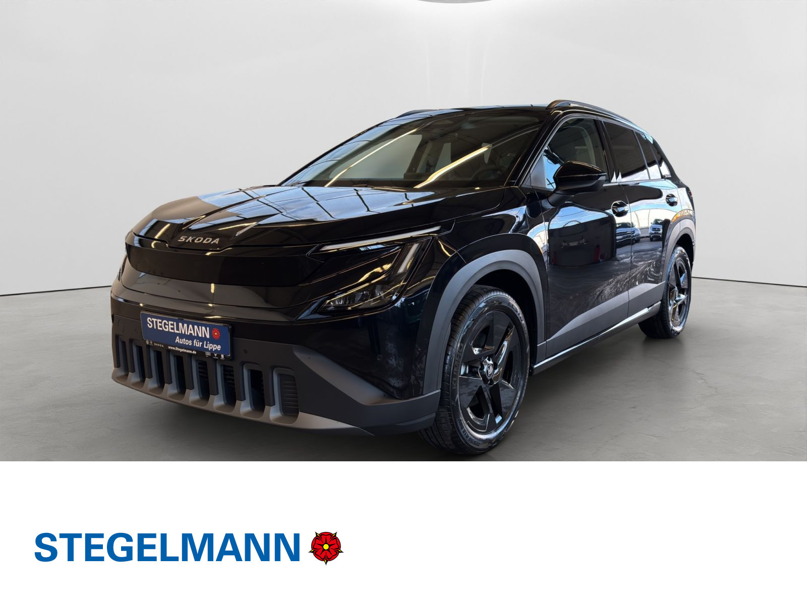 Fahrzeugbild_1