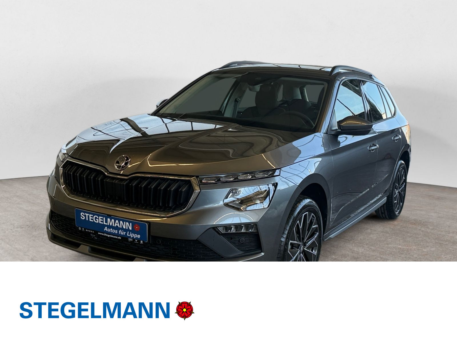 diagonal-frontansicht-aussen