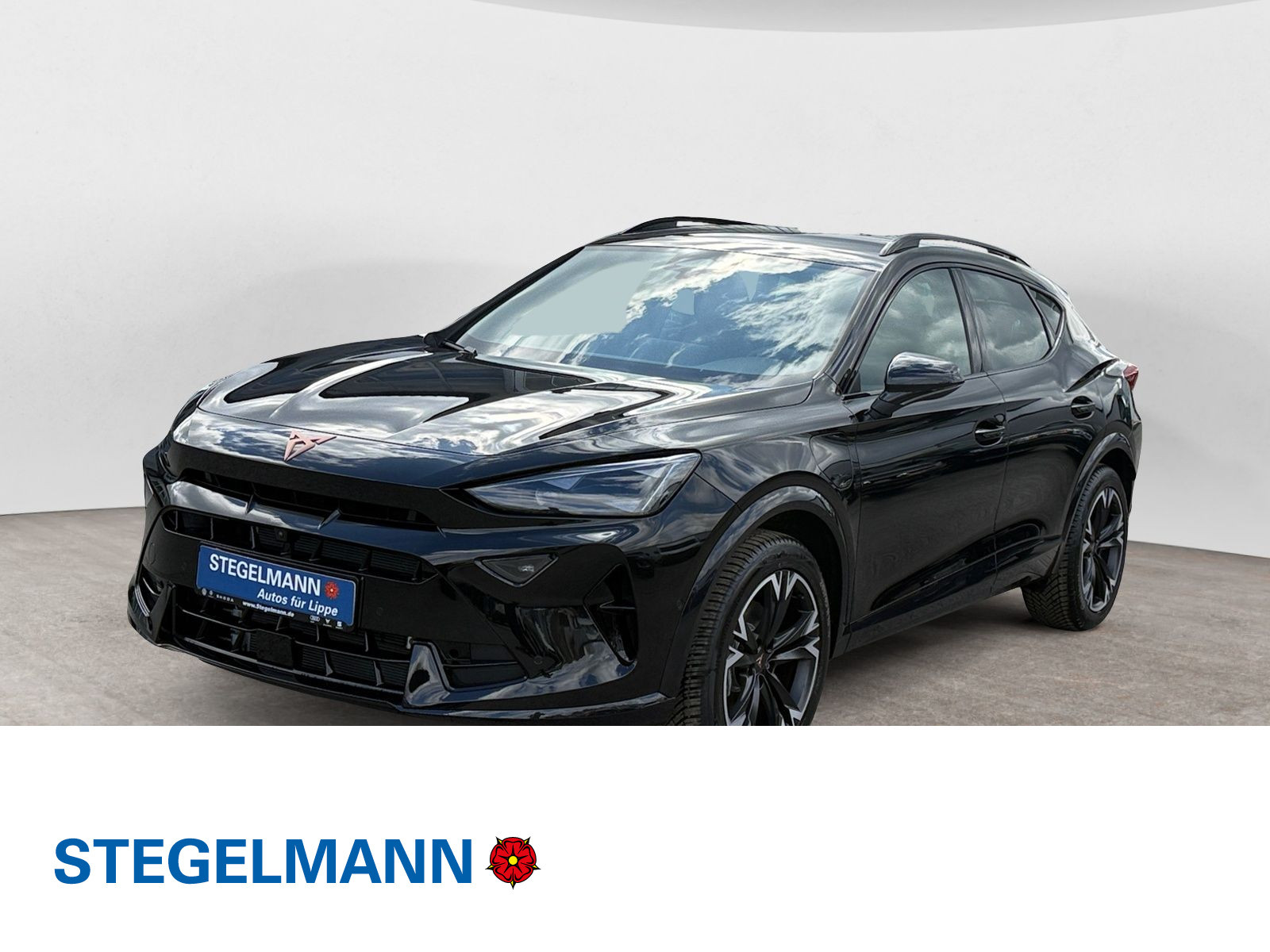 diagonal-frontansicht-aussen