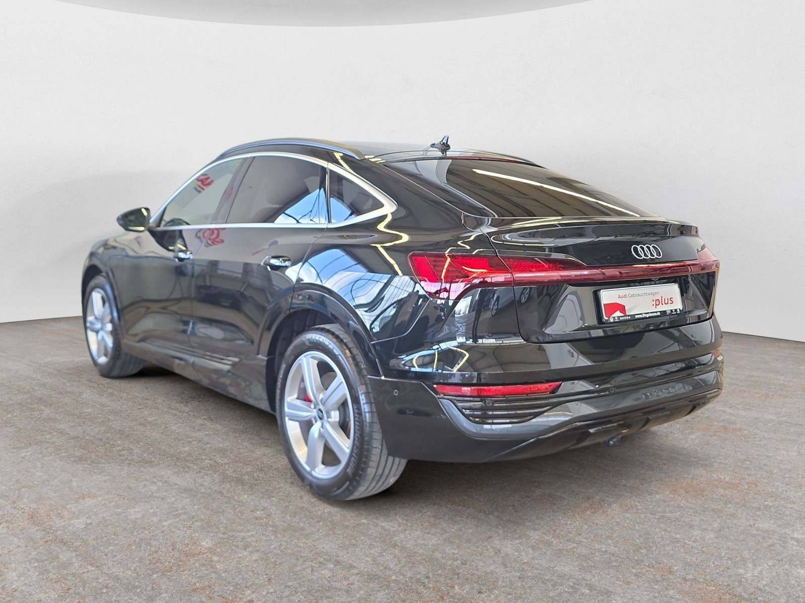 diagonalansicht-hinten-aussen