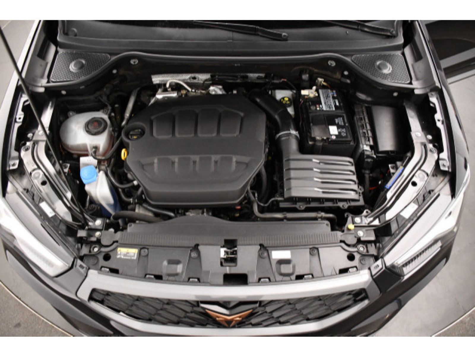 Cupra - Ateca_15
