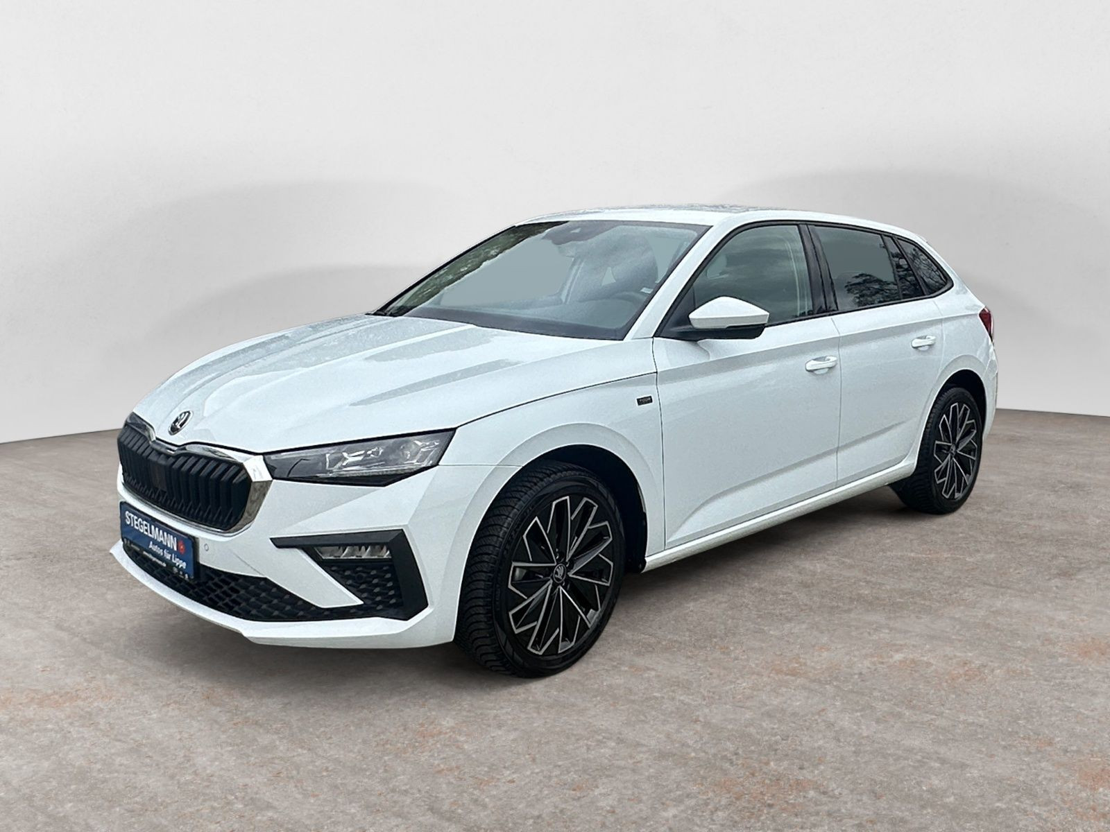 diagonal-frontansicht-aussen