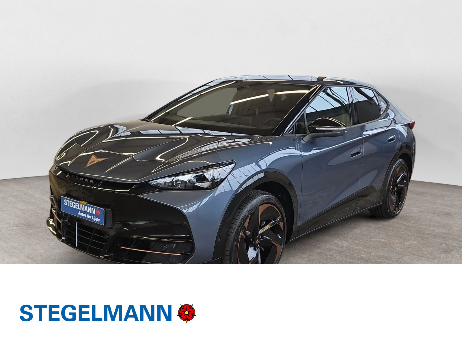 diagonal-frontansicht-aussen