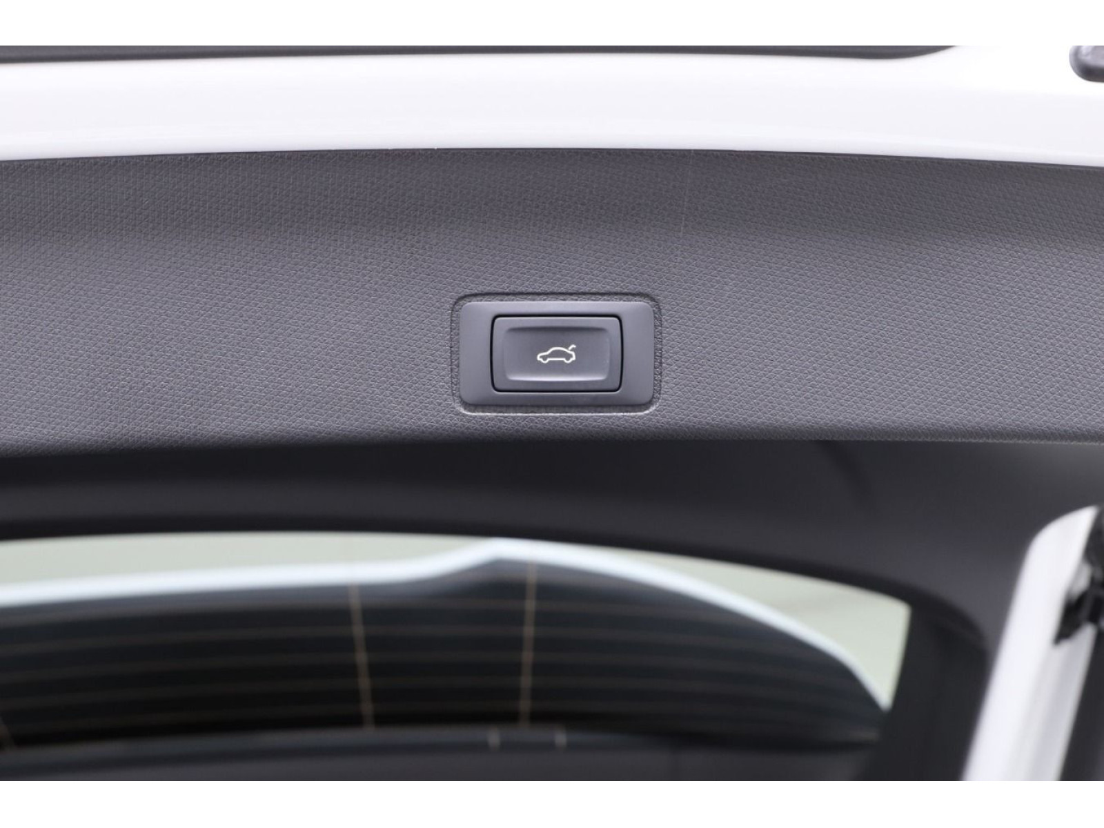 Cupra - Terramar_15