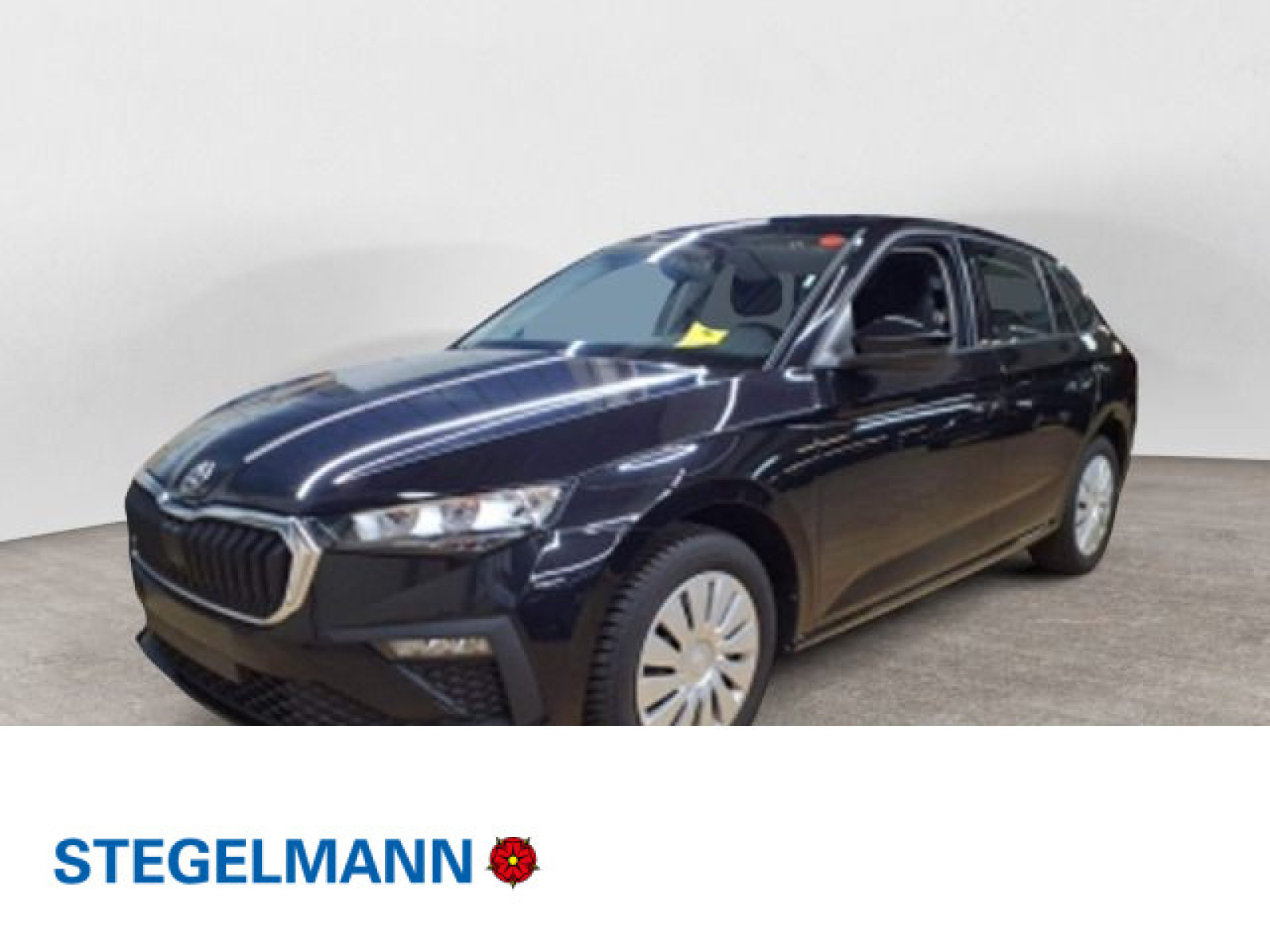 diagonal-frontansicht-aussen