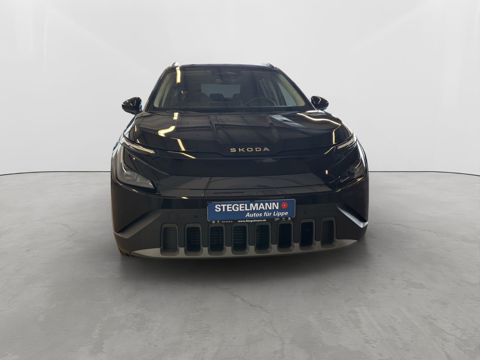 Fahrzeugbild_9