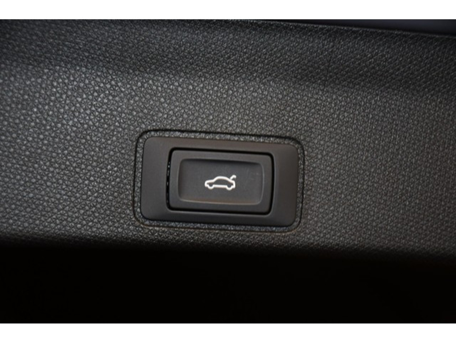 Cupra - Terramar_12
