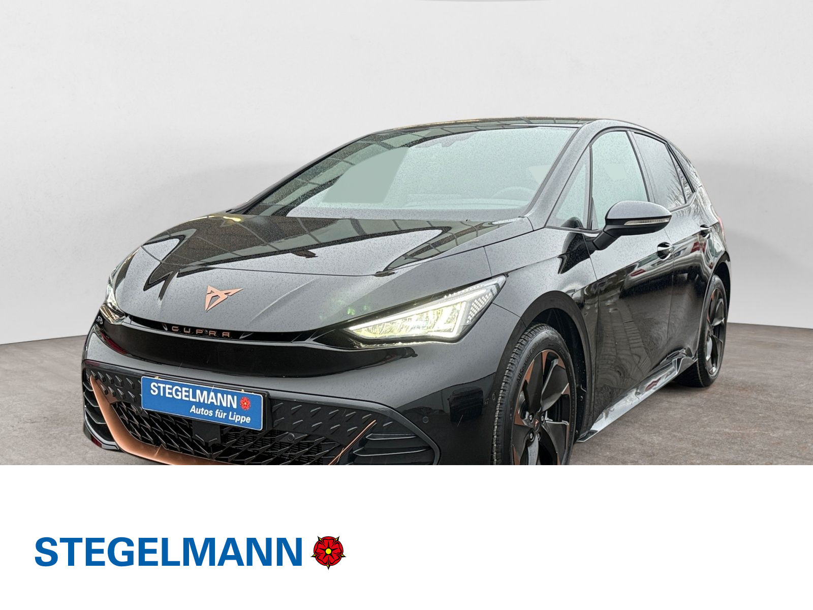 diagonal-frontansicht-aussen