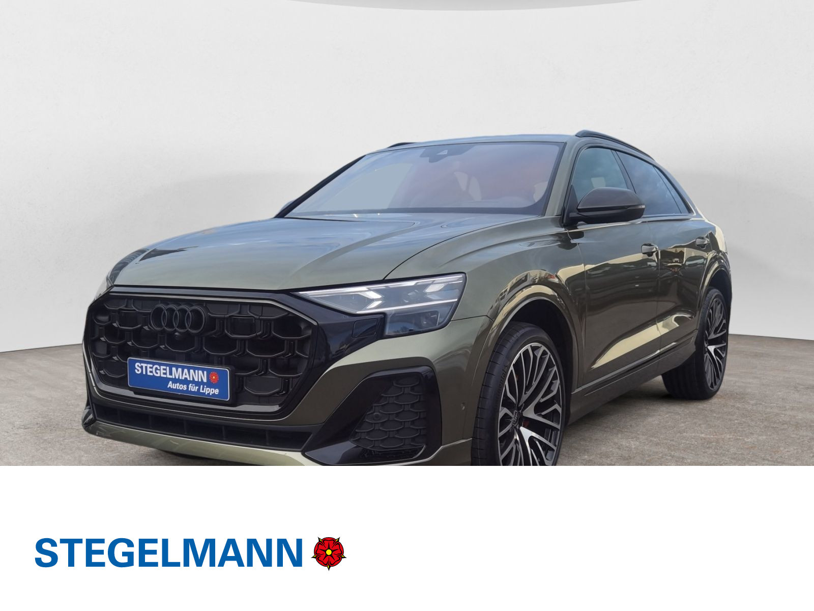 Q8 SUV 50 TDI quattro tiptronic INDIVIDUAL OAK LASERLICHT OLED HEAD-UP AHK B&O