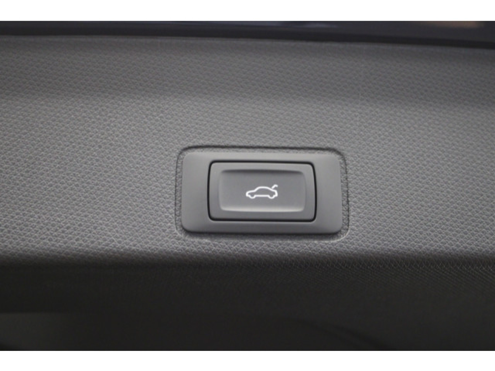 Cupra - Terramar_11