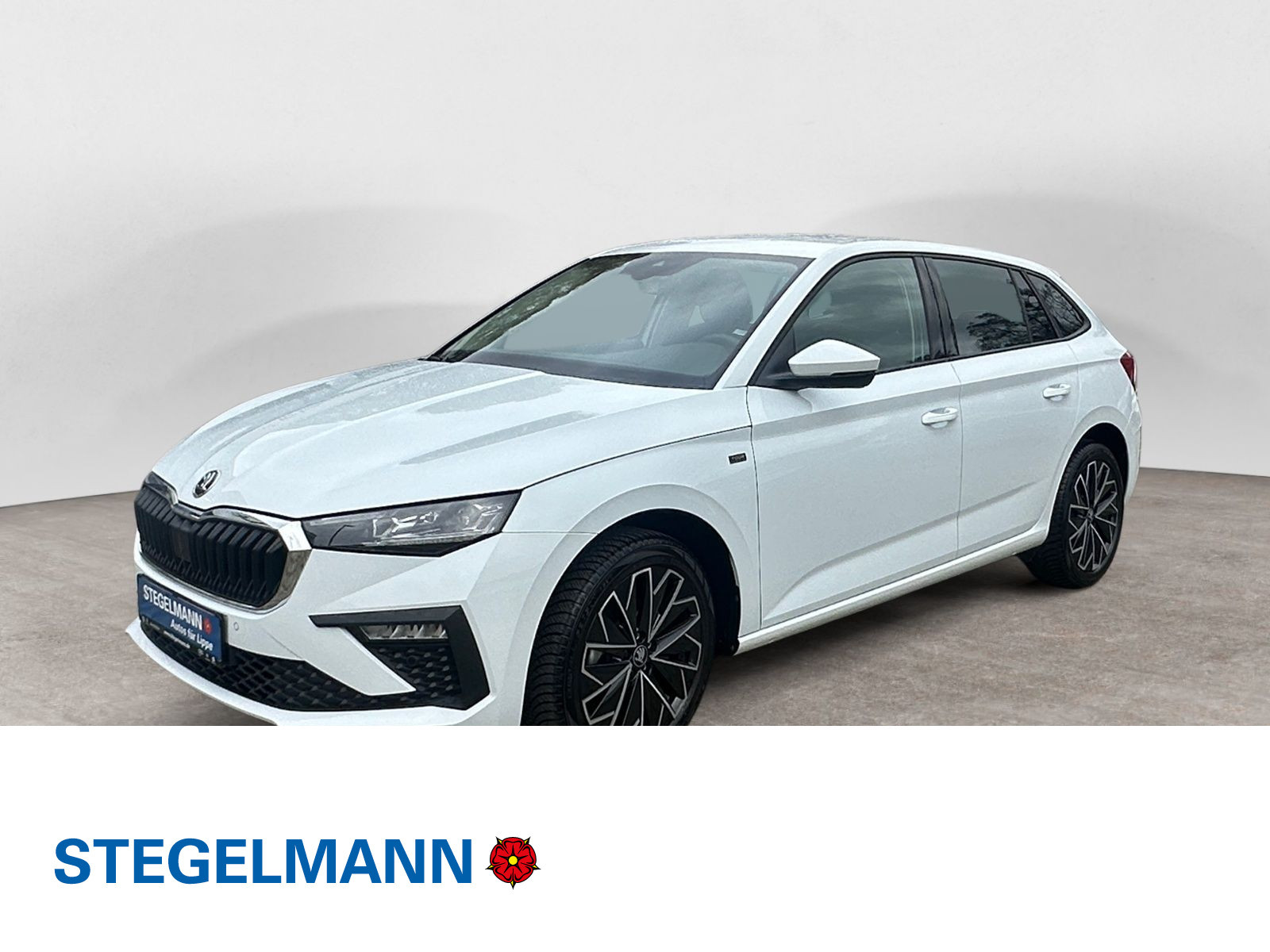 diagonal-frontansicht-aussen