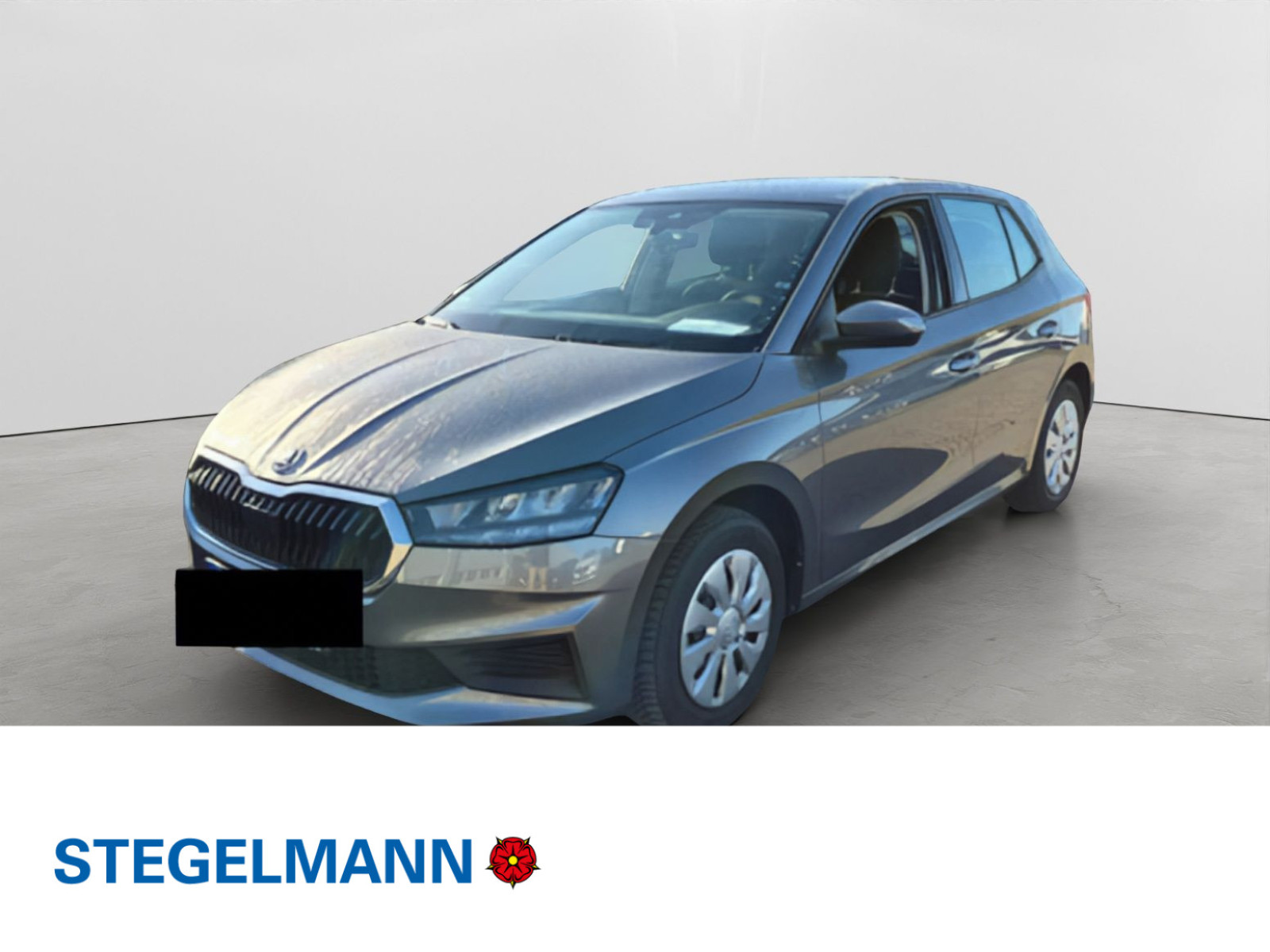 Fahrzeugbild_1