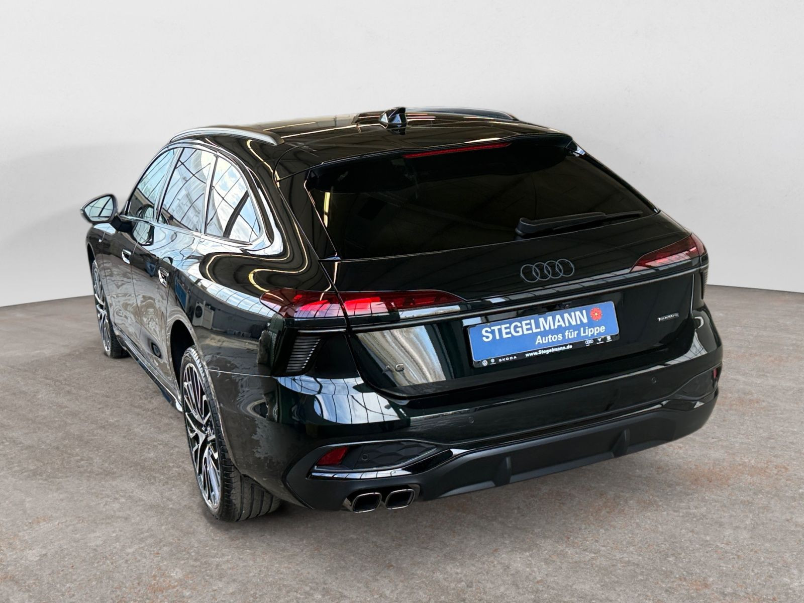 diagonalansicht-hinten-aussen