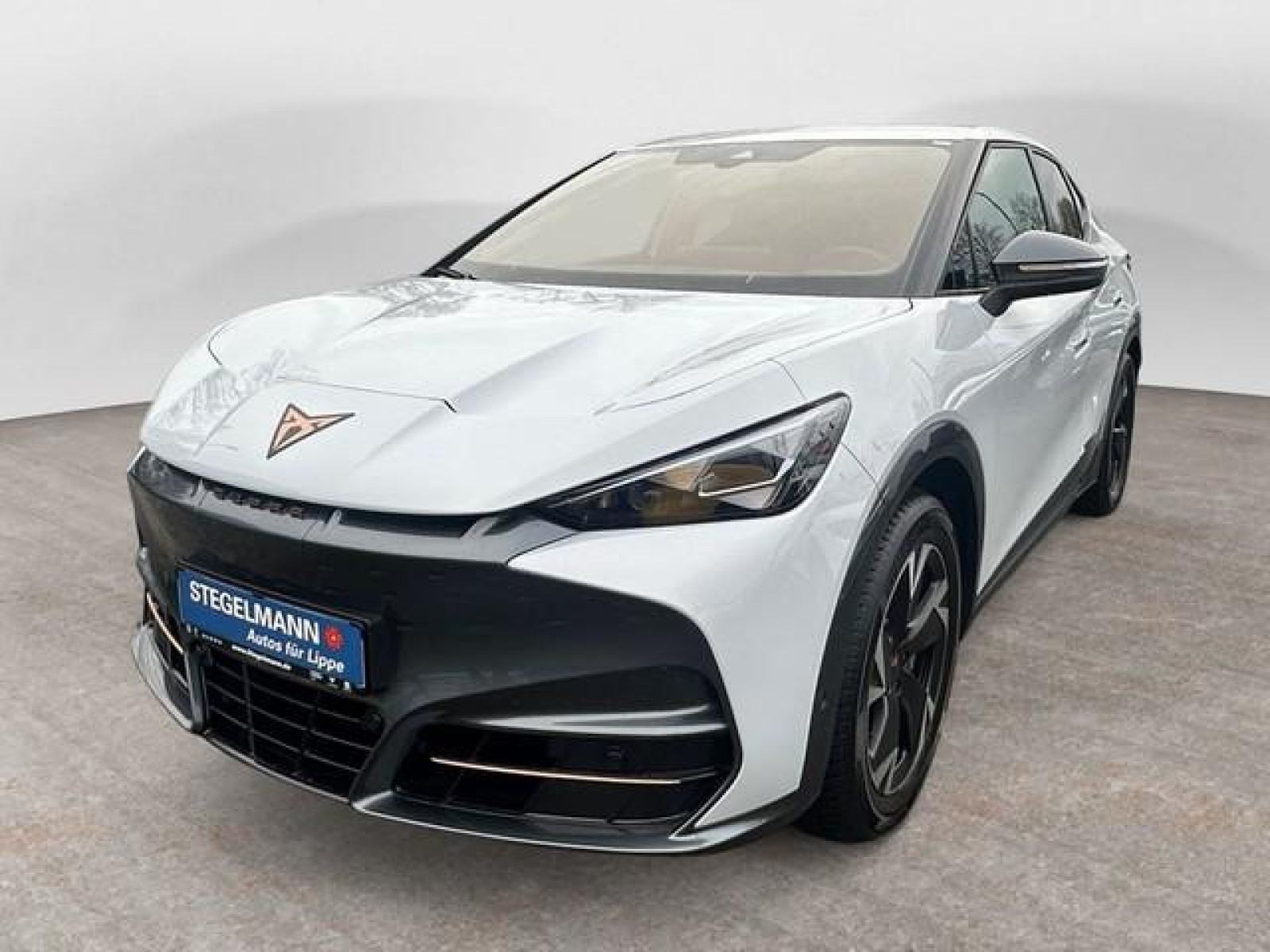 diagonal-frontansicht-aussen