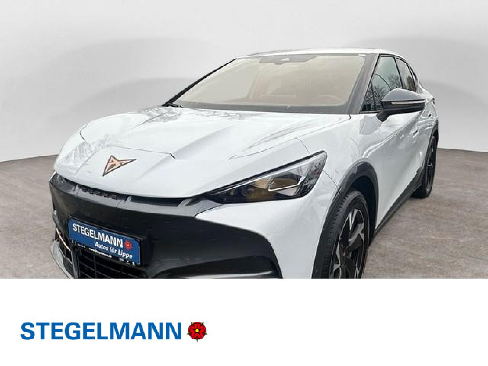 diagonal-frontansicht-aussen