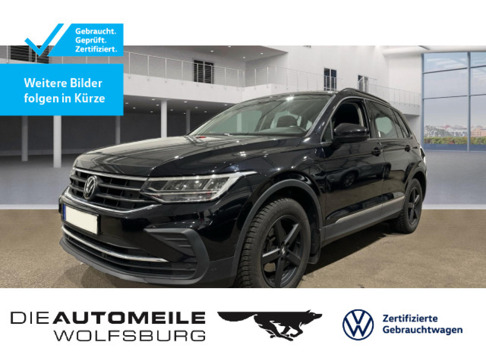 Tiguan 1.5 TSI DSG Life STANDHZ/AHK/LED