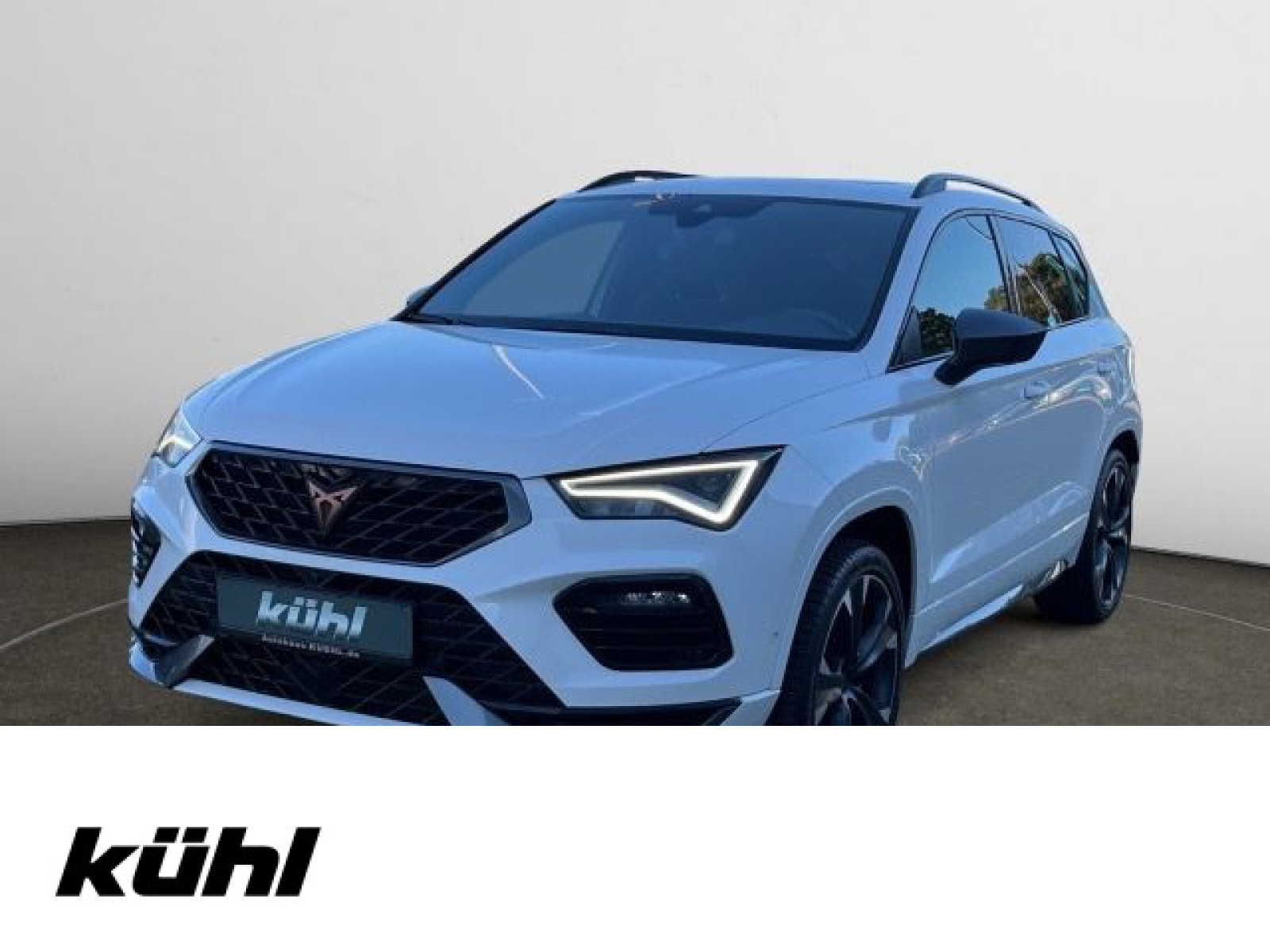 diagonal-frontansicht-aussen