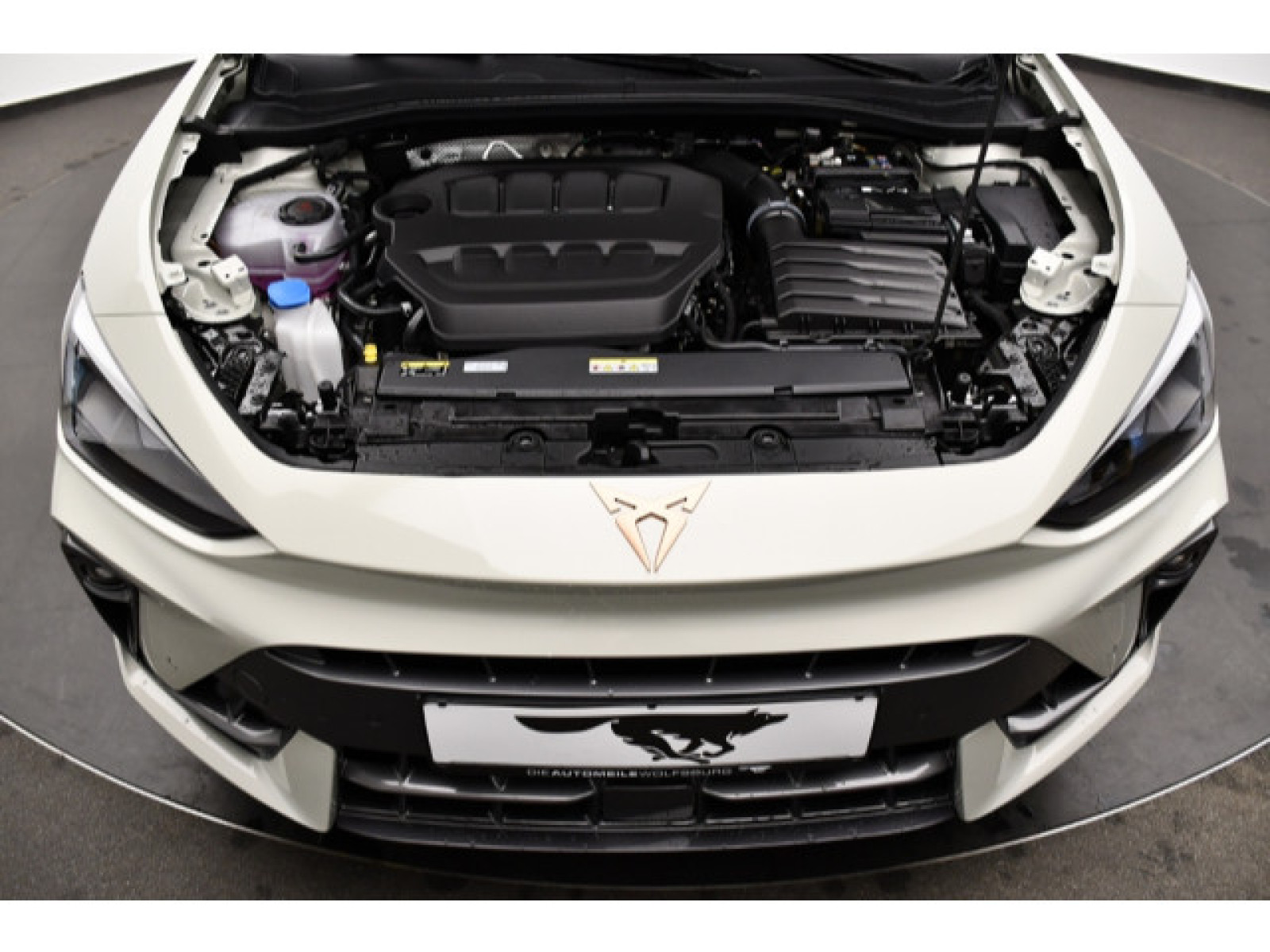 motor-aussen