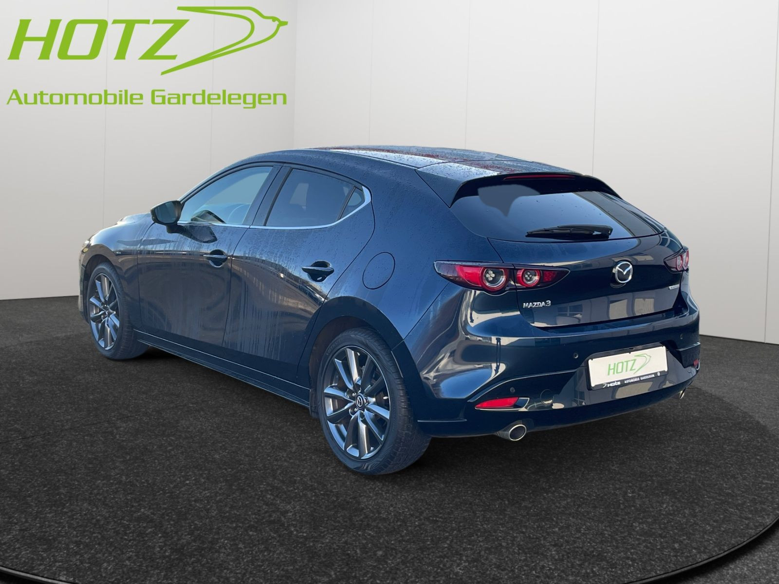 diagonalansicht-hinten-aussen