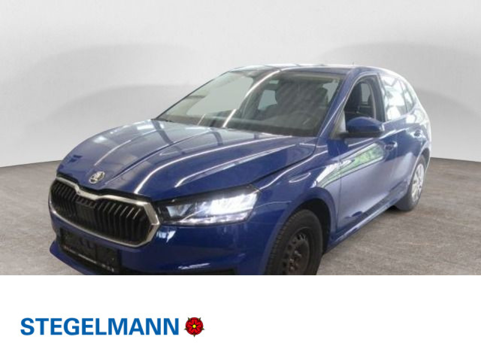 Fahrzeugbild_1
