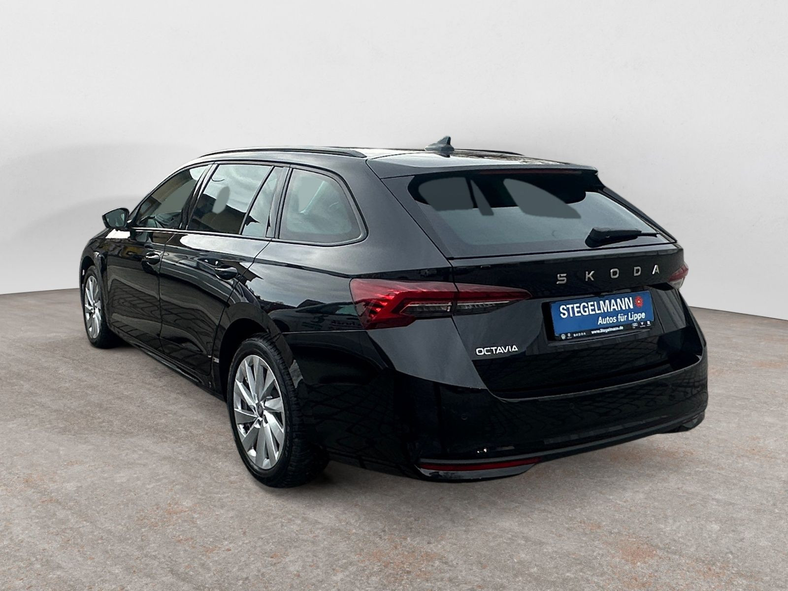 diagonalansicht-hinten-aussen