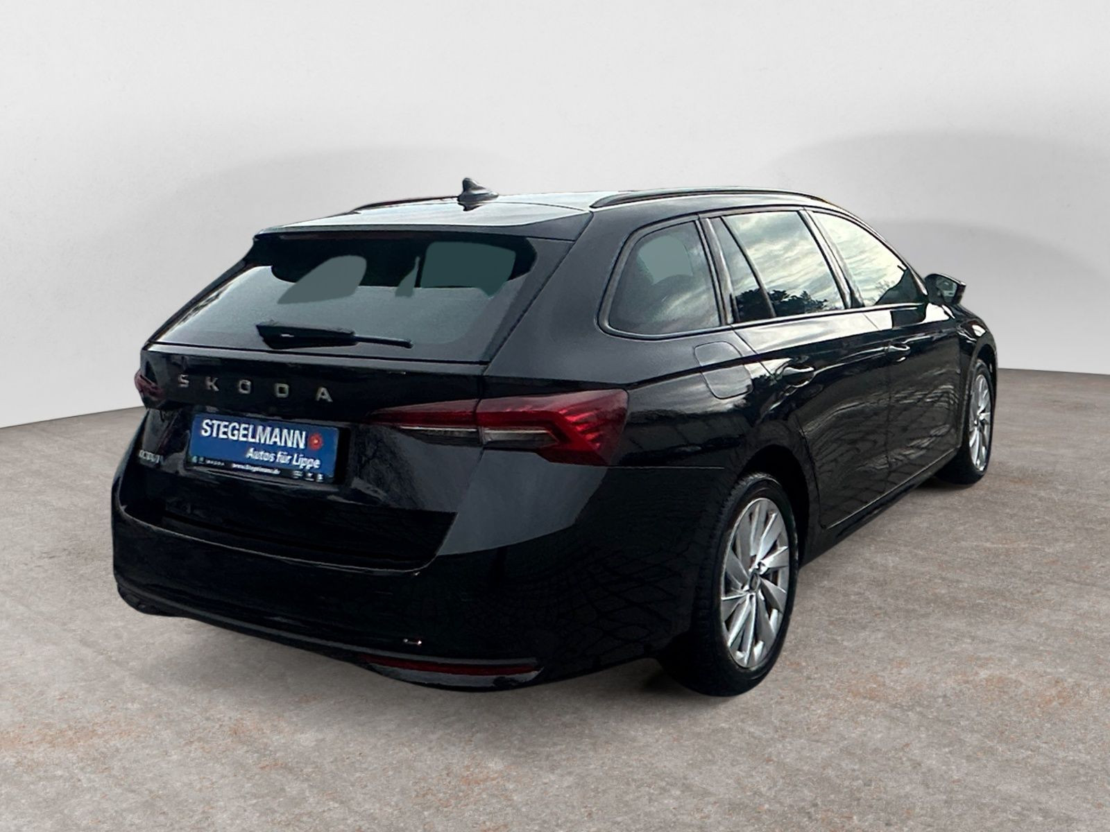 diagonalansicht-hinten-aussen