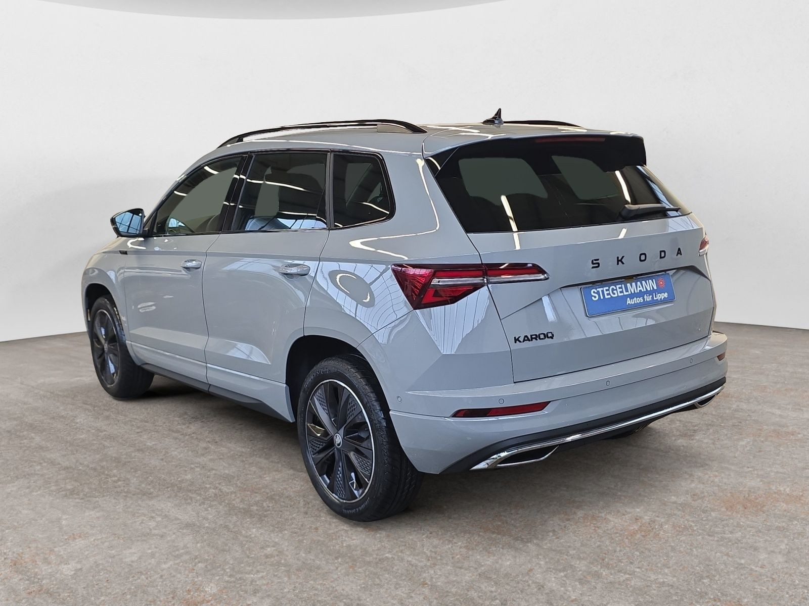 diagonalansicht-hinten-aussen