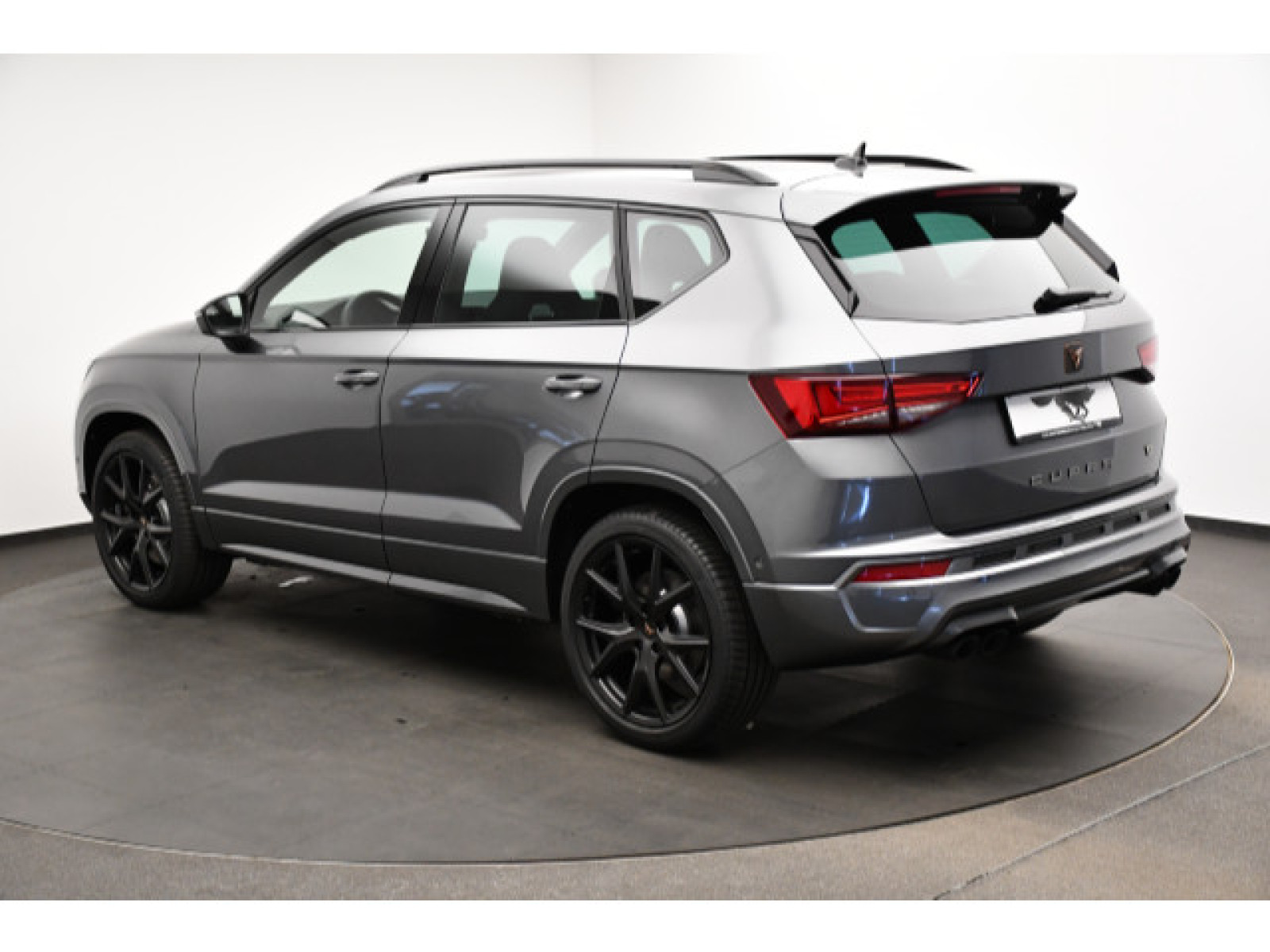 diagonalansicht-hinten-aussen