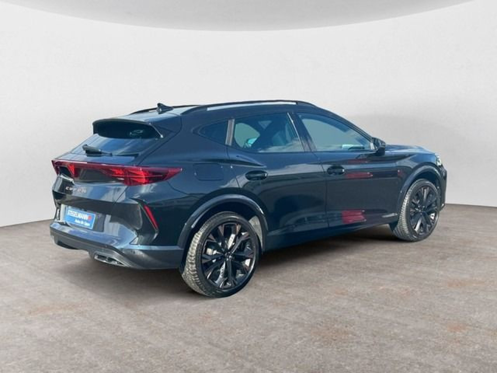 diagonalansicht-hinten-aussen