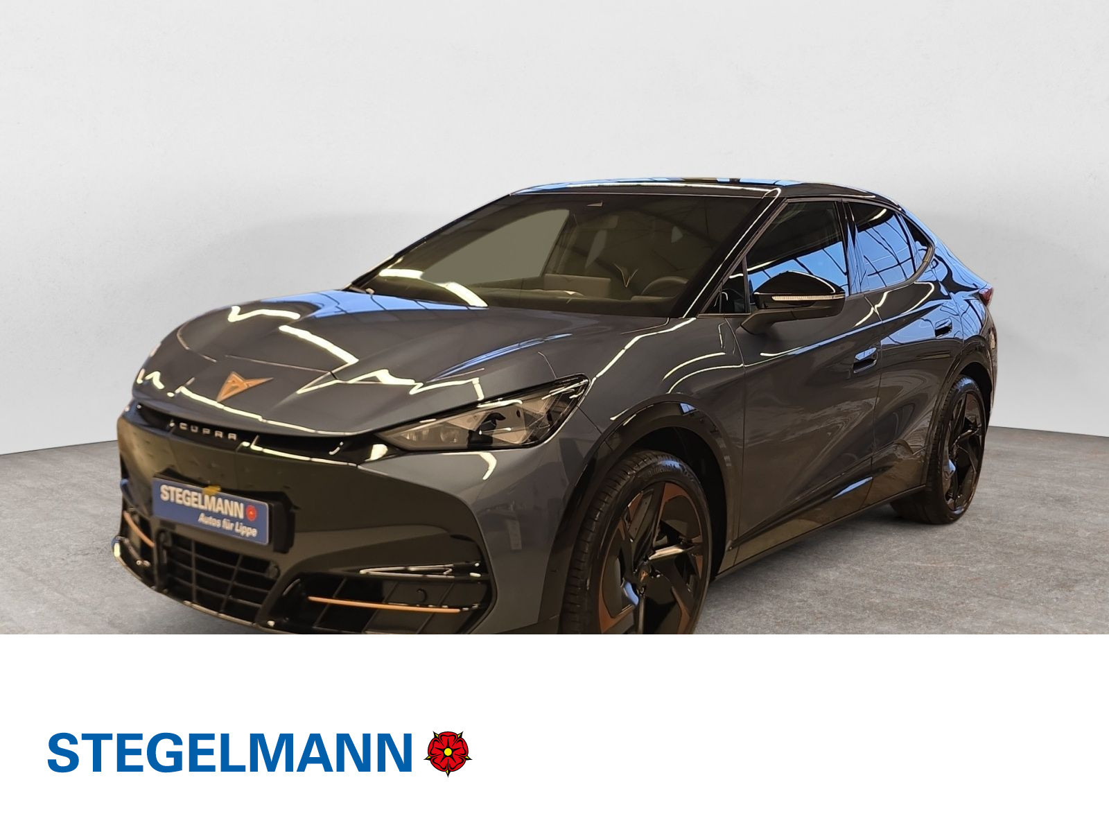 diagonal-frontansicht-aussen