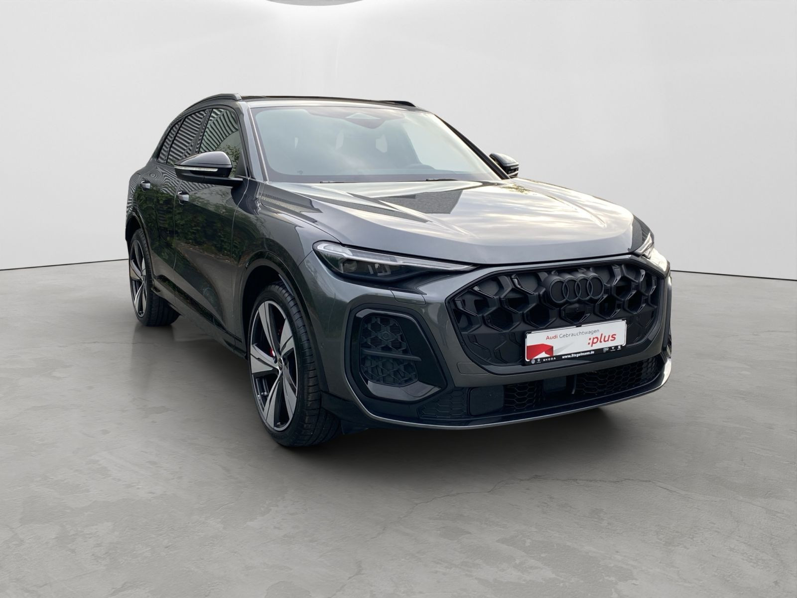 Audi - SQ5_9