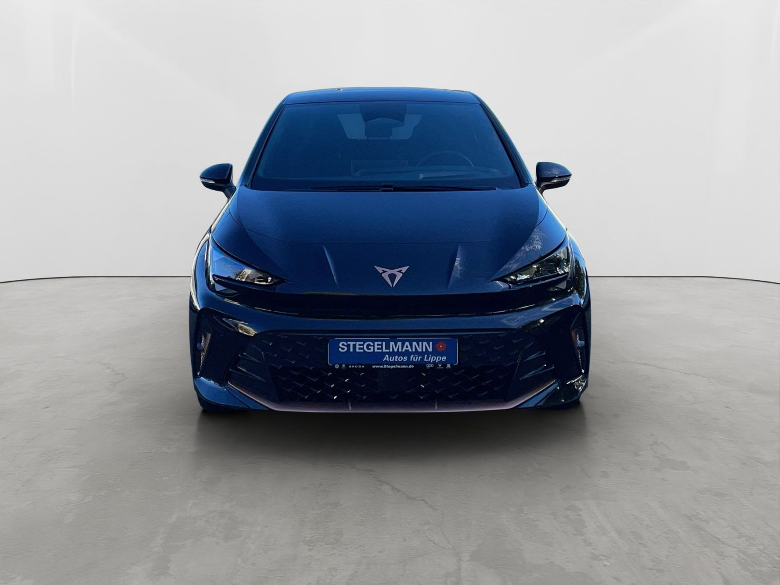 Cupra - Born_9