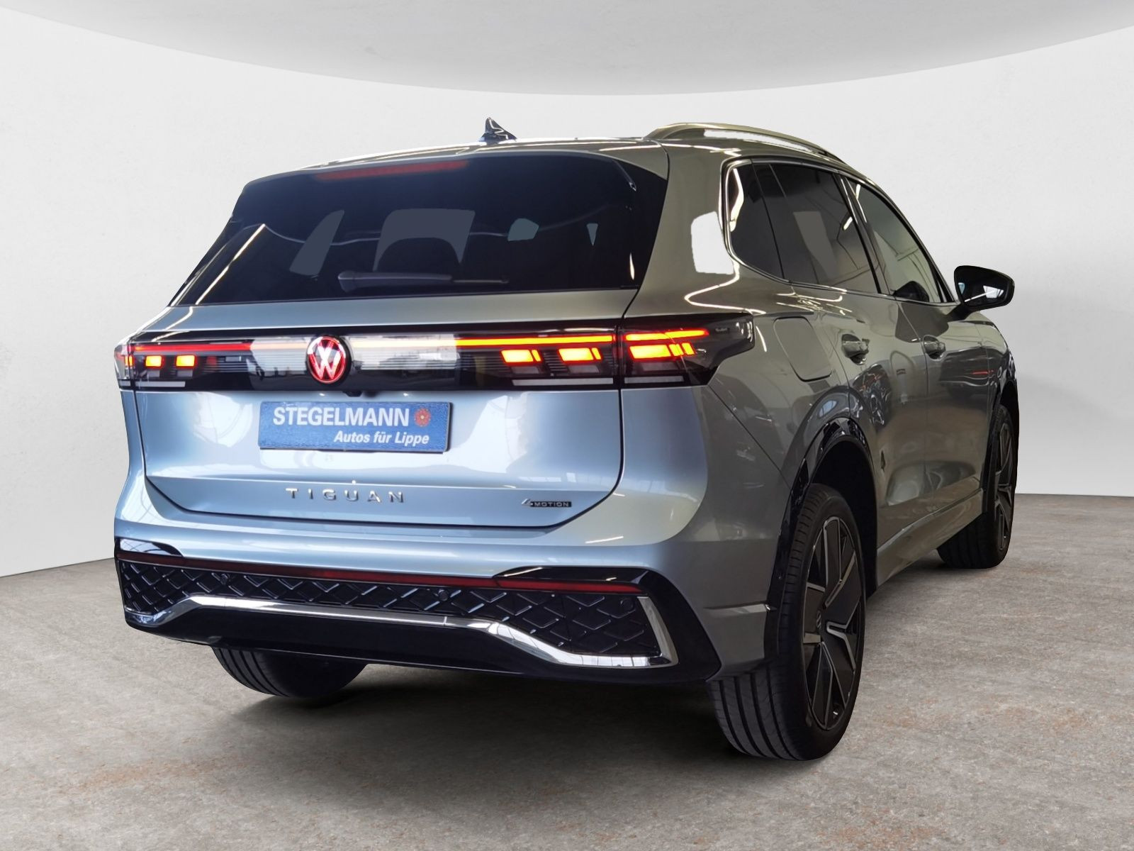 diagonalansicht-hinten-aussen