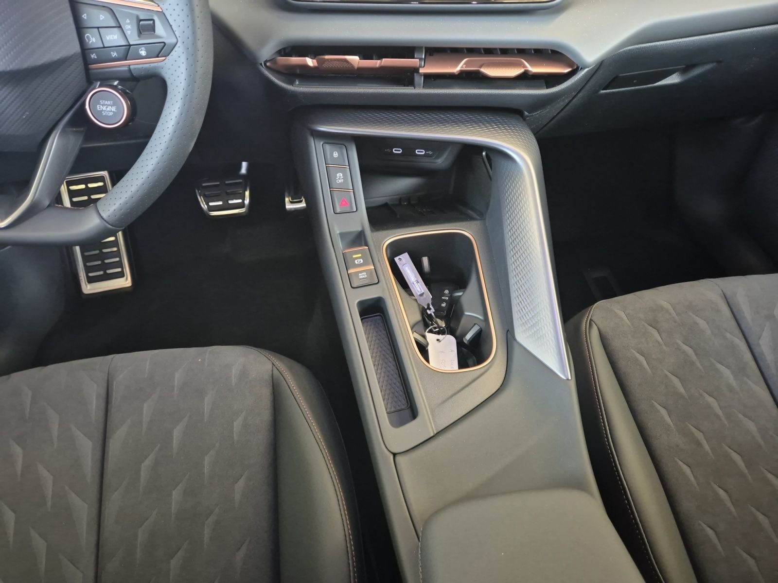 Cupra - Terramar_12