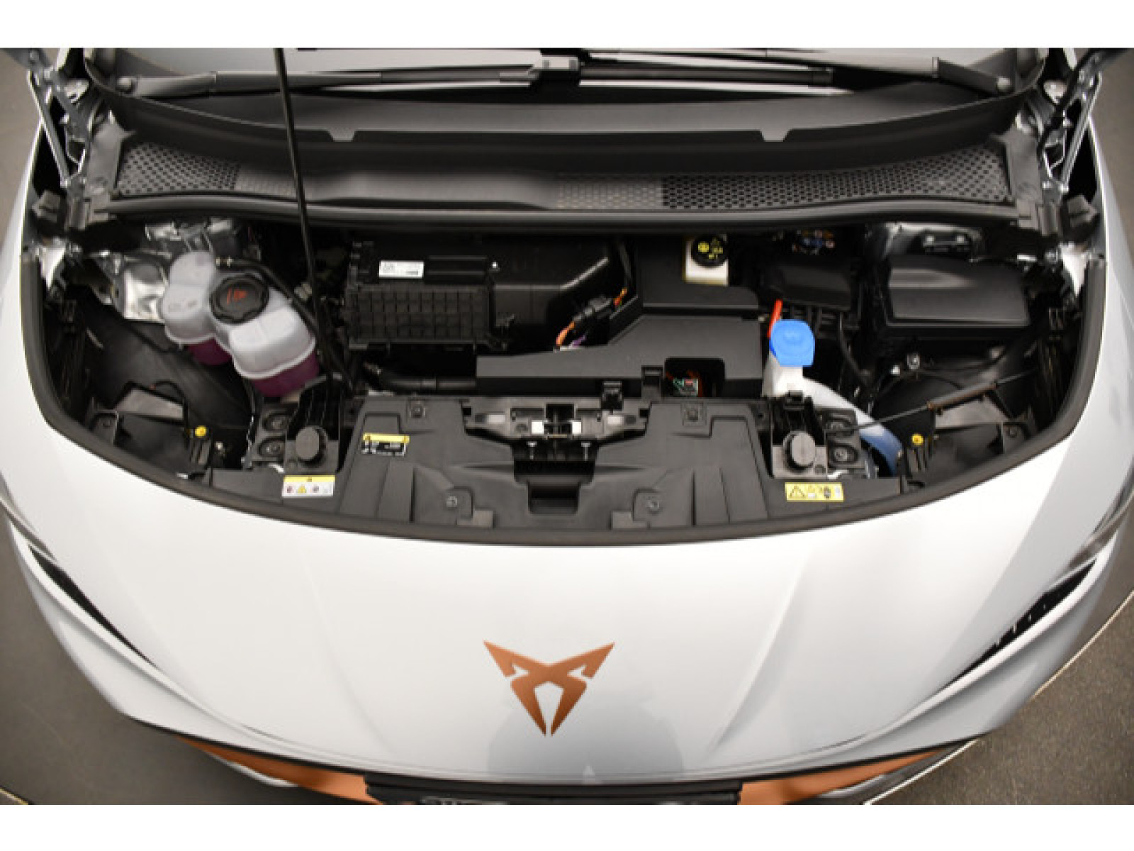 Cupra - Born_11