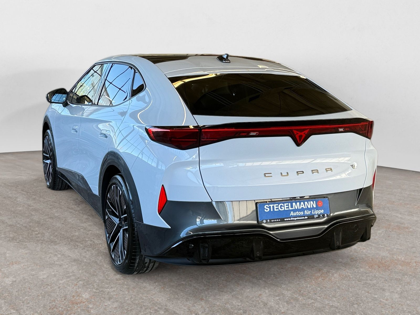 diagonalansicht-hinten-aussen