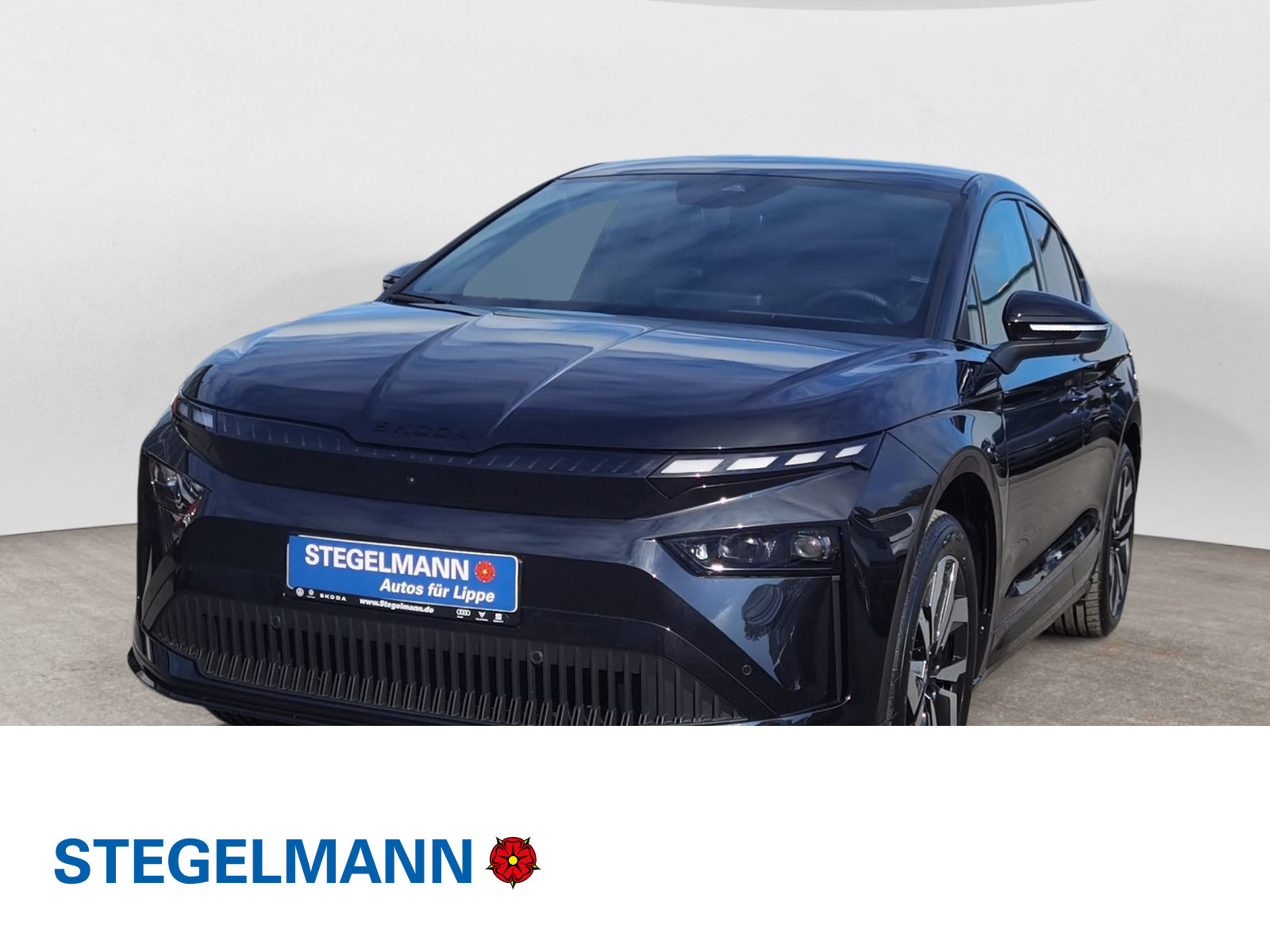 Fahrzeugbild_1
