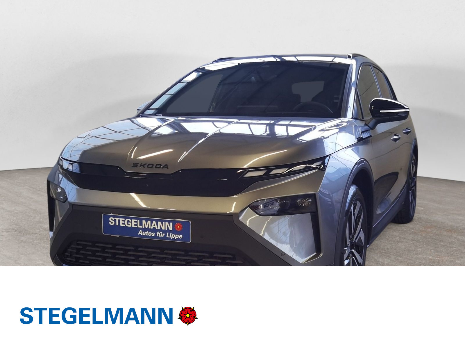 diagonal-frontansicht-aussen