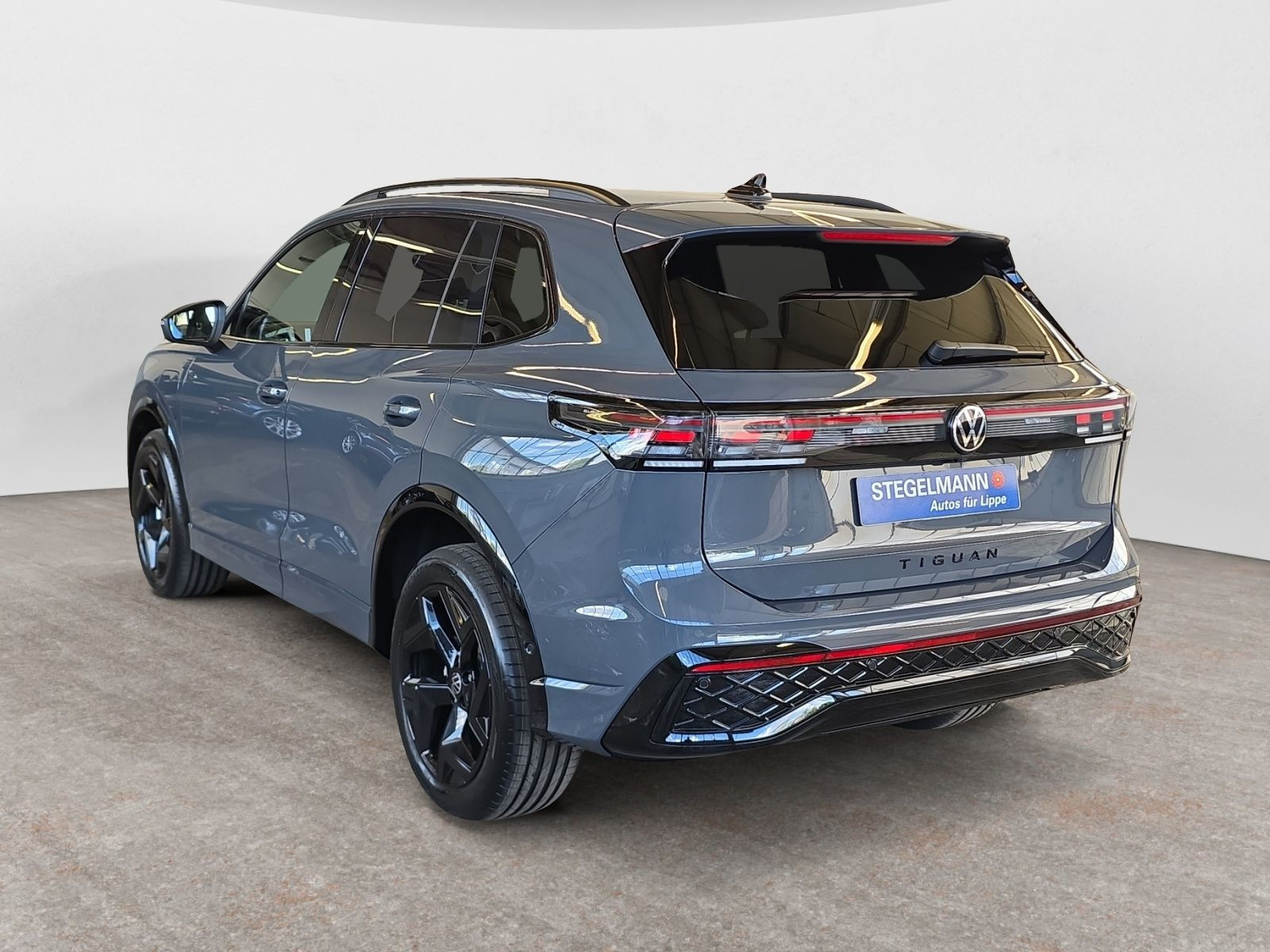 diagonalansicht-hinten-aussen