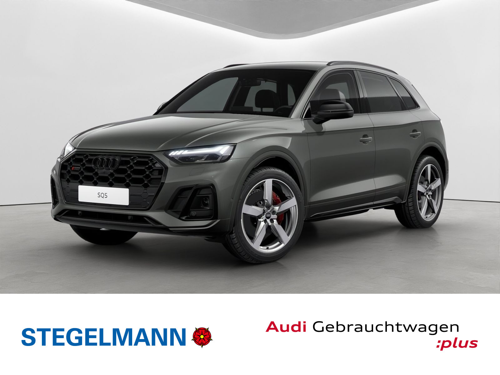 Audi - SQ5_1