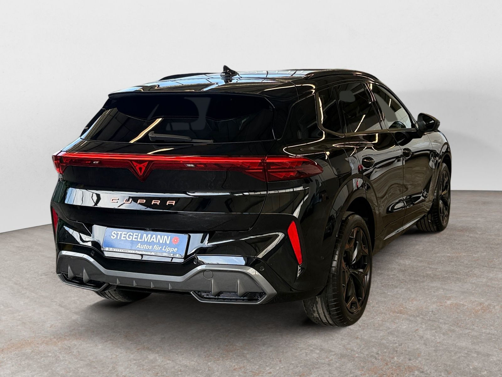 diagonalansicht-hinten-aussen