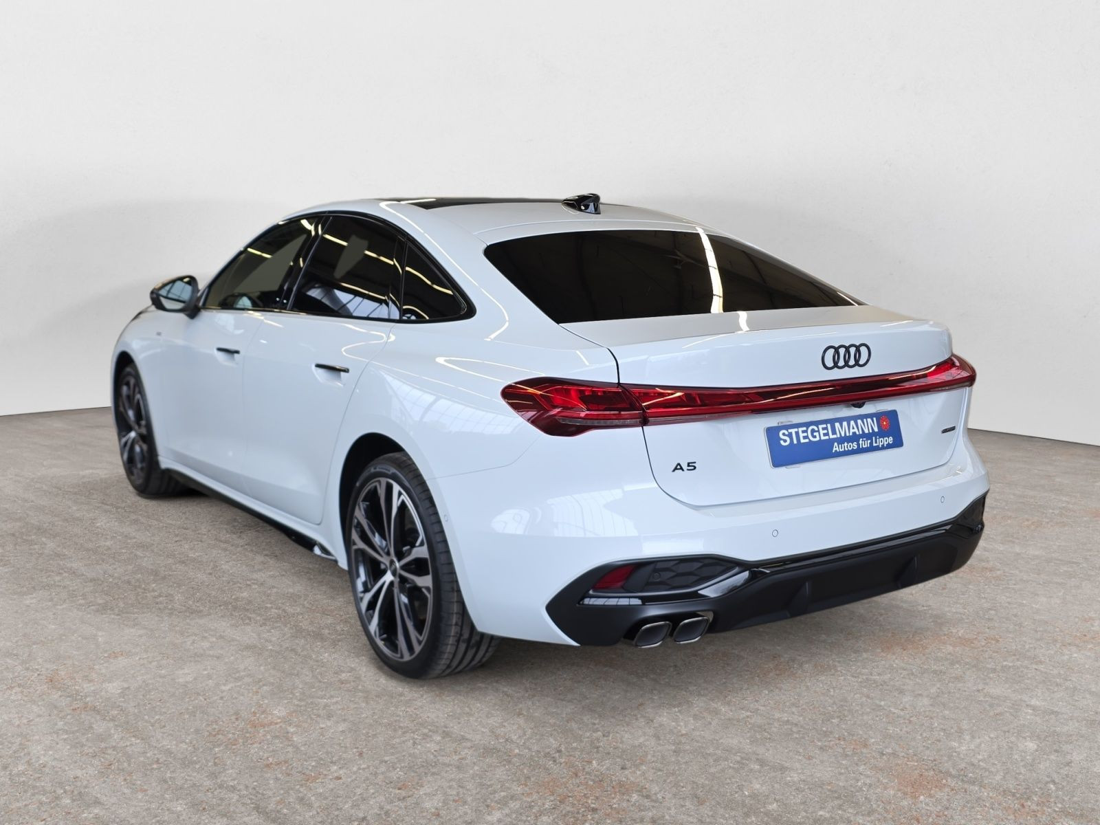 diagonalansicht-hinten-aussen