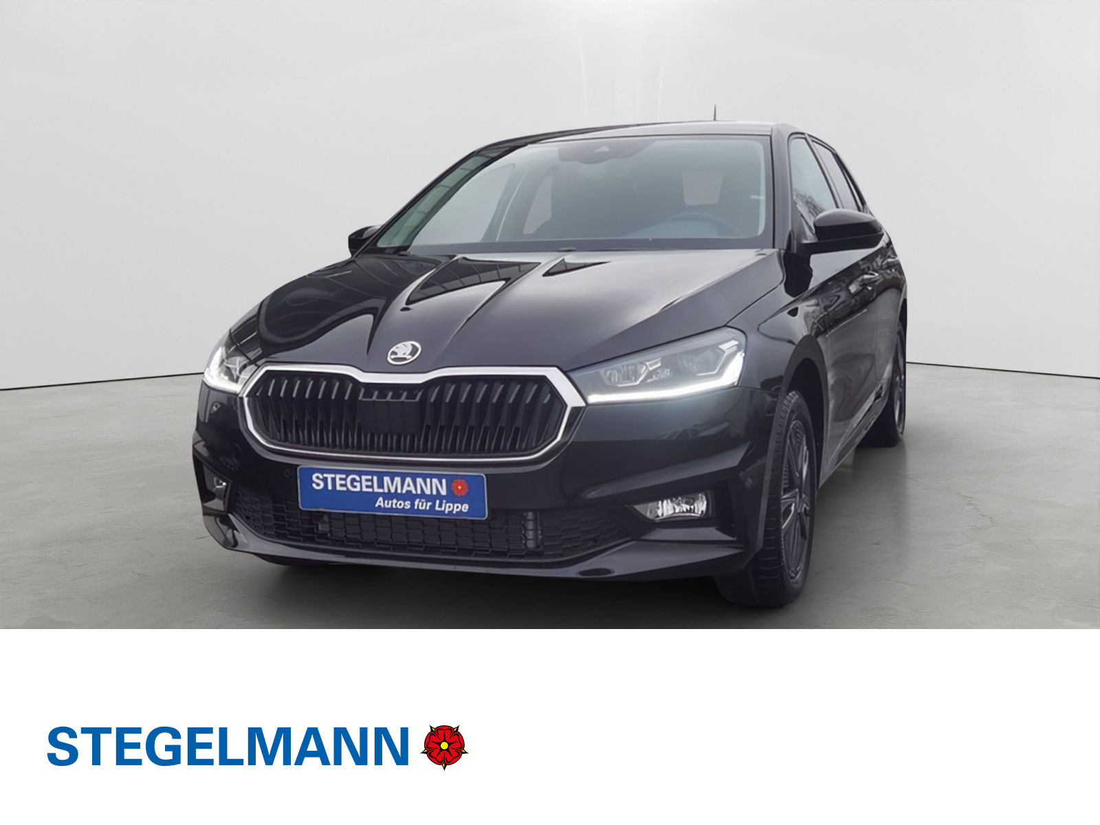 Fahrzeugbild_1