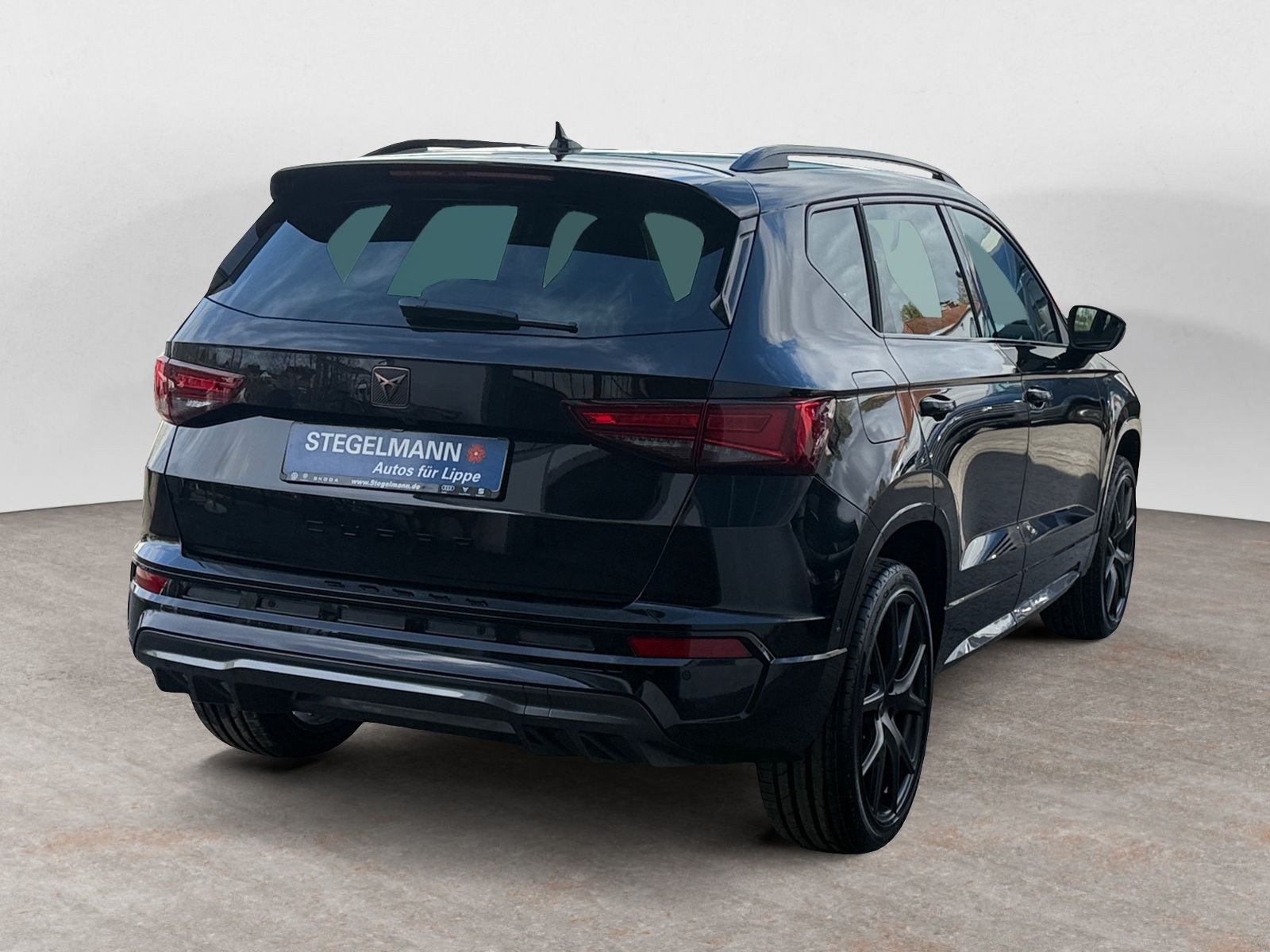 diagonalansicht-hinten-aussen