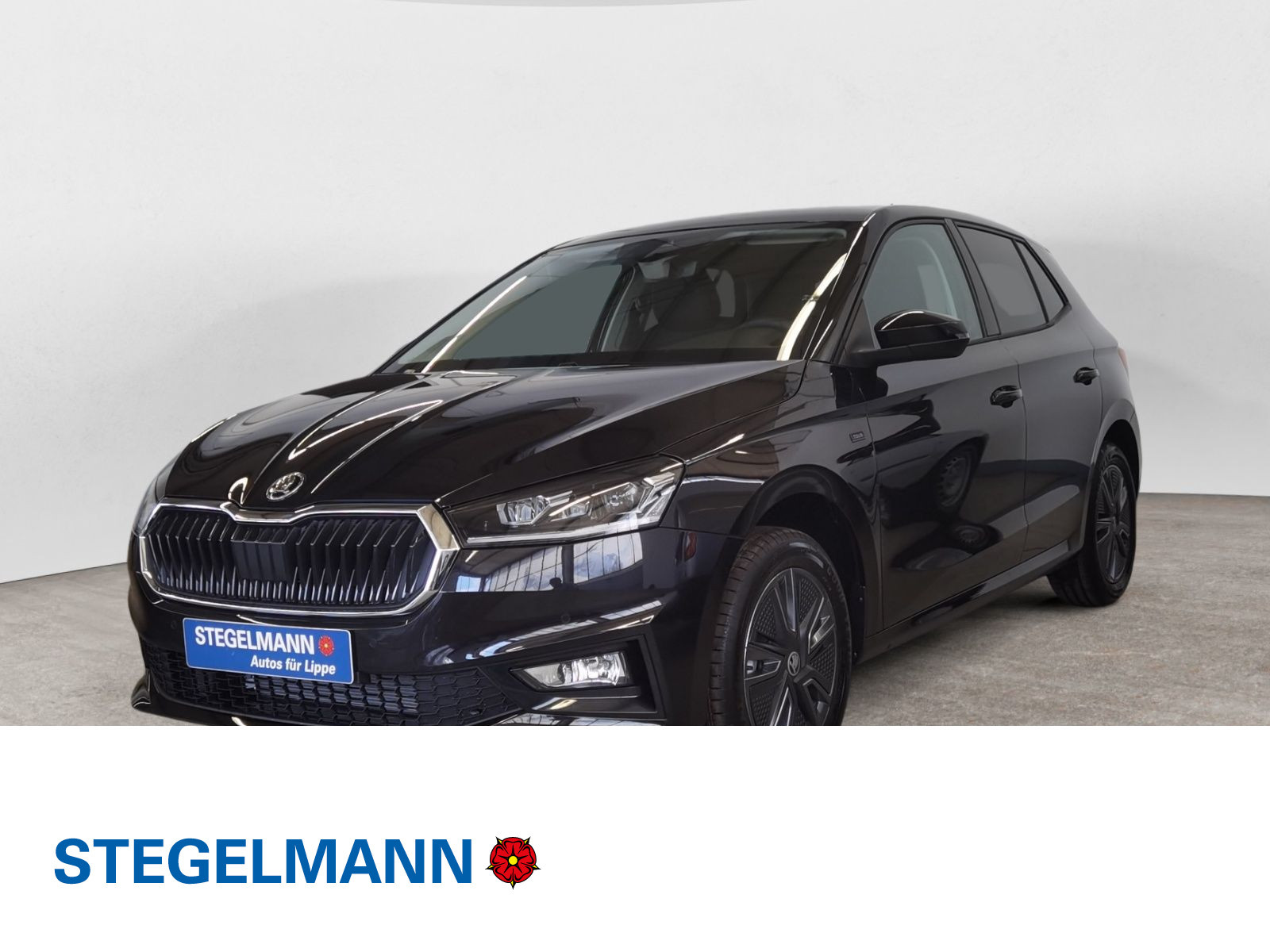 Fabia 1.0 Tour