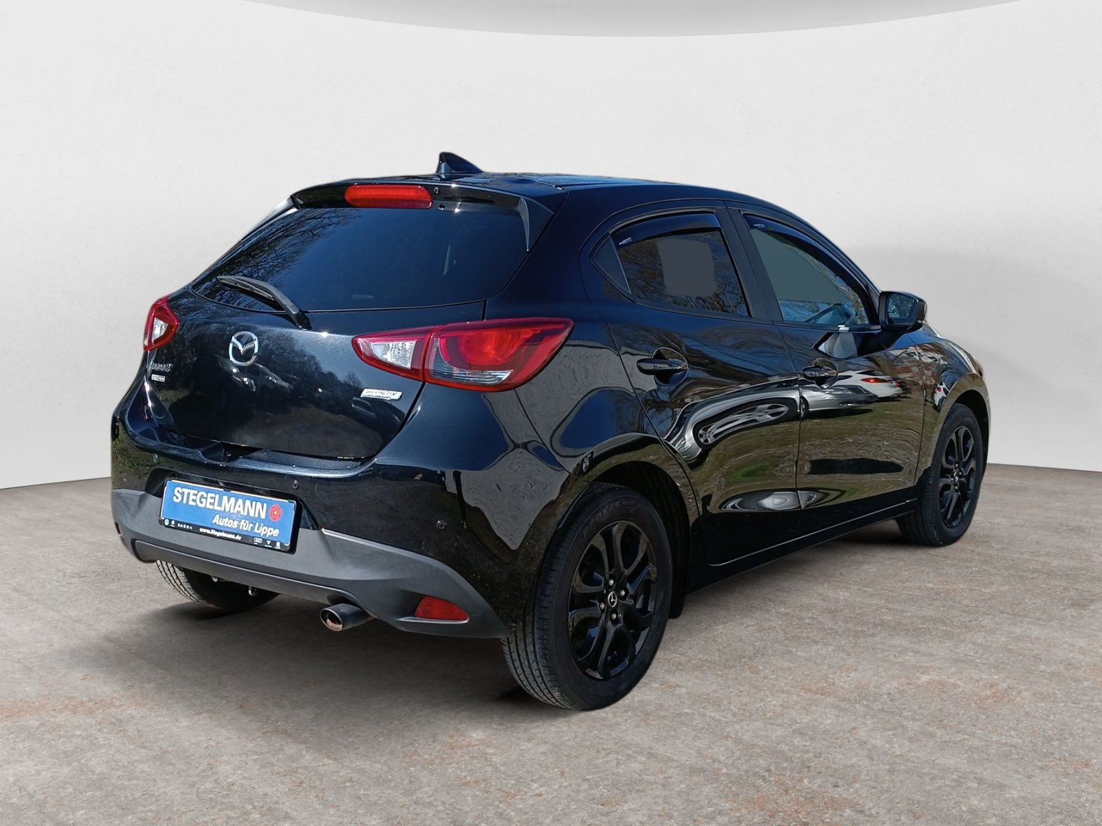 diagonalansicht-hinten-aussen