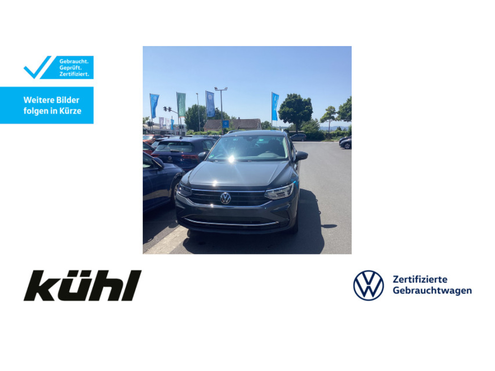Tiguan 1.5 TSI DSG Active Navi,AHK,Pano,LM18