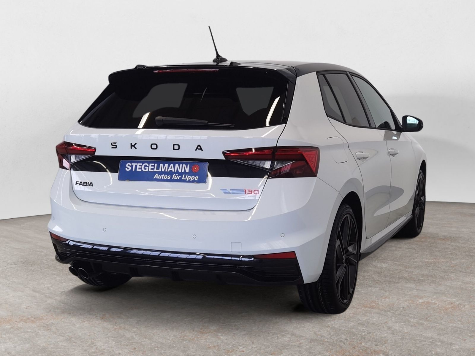 diagonalansicht-hinten-aussen