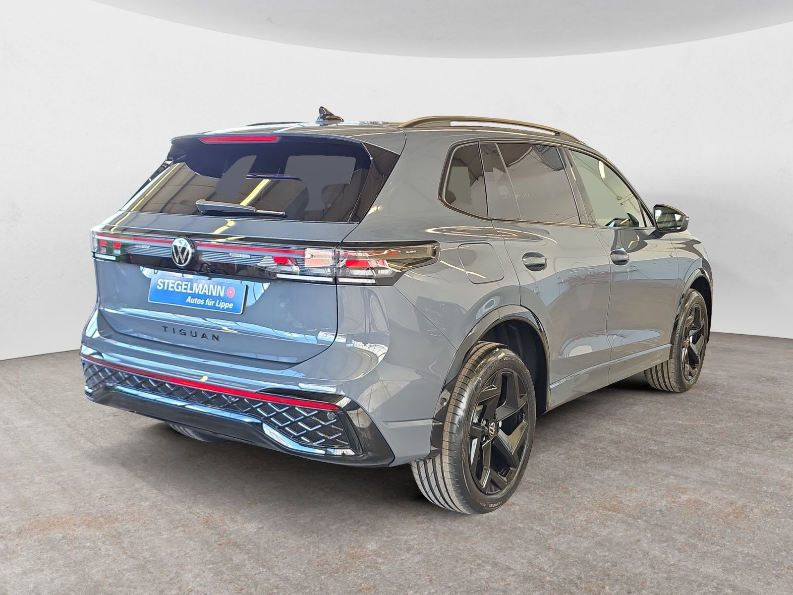 diagonalansicht-hinten-aussen