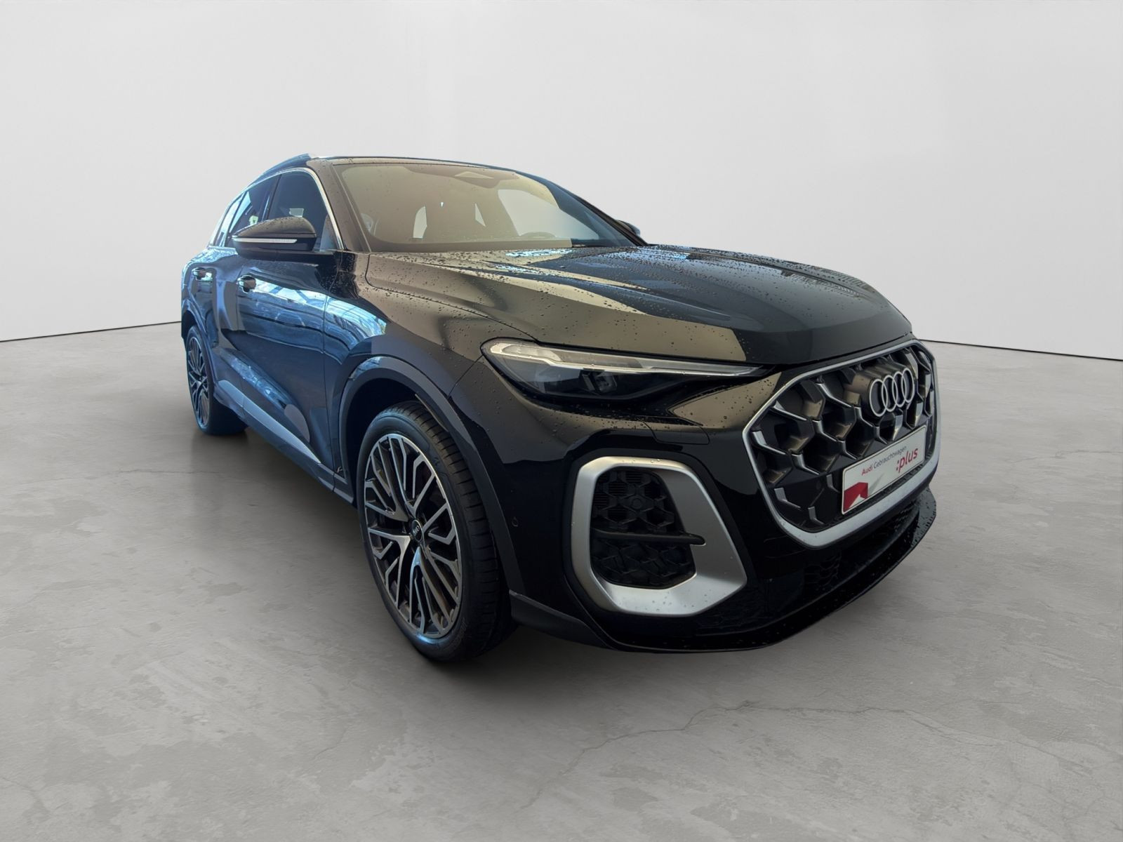Audi - SQ5_7